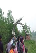 铜陵白鳍豚养护场
